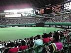 外野グラウンドのセブン・イレブンの広告