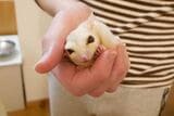 （写真：ひろさん提供）