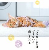 （出所：『そんなに怒らニャくてもいいんだよ ネコと学ぶ心が軽くなる方法』より）