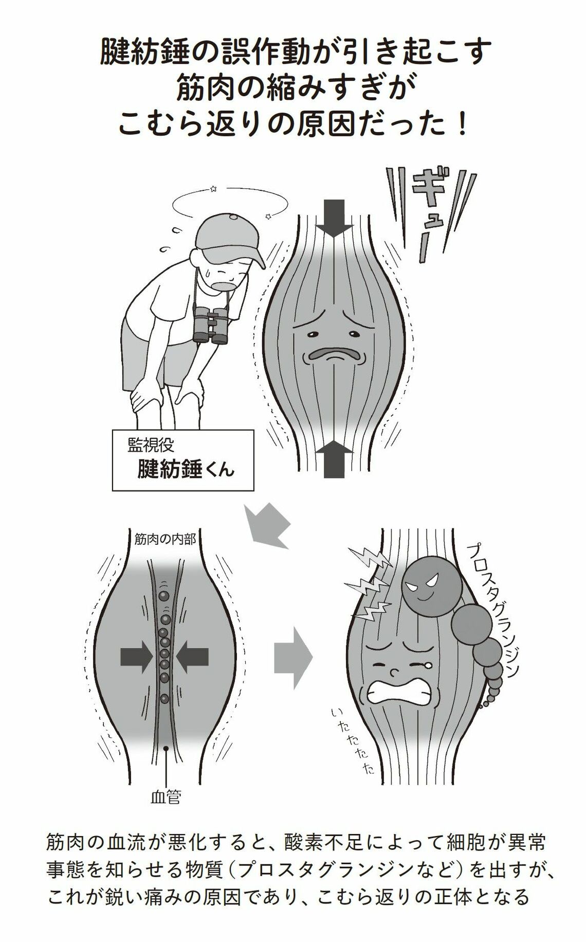 （出所：『足の名医がついにたどりついた こむら返りと手足のつりリセット法』より）
