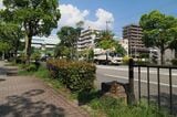 枝川を埋め立ててできた甲子園筋。50年前まで走っていた路面電車の遺構が残る（撮影：伊原薫）