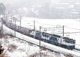 吹雪の上越線沼田付近を走るEF64形1000番台重連が牽引する貨物列車（撮影：南正時）