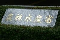 汚染米騒動で露見したコメ流通の暗部、農水省にも批判集中