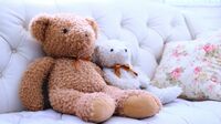 捨てづらい｢ぬいぐるみ｣悔いなく処分する方法 ｢魂｣が宿るとの考えからためらうケースも