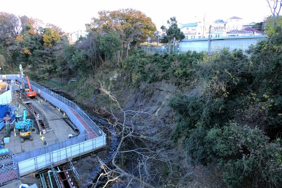 帷子川親水緑道