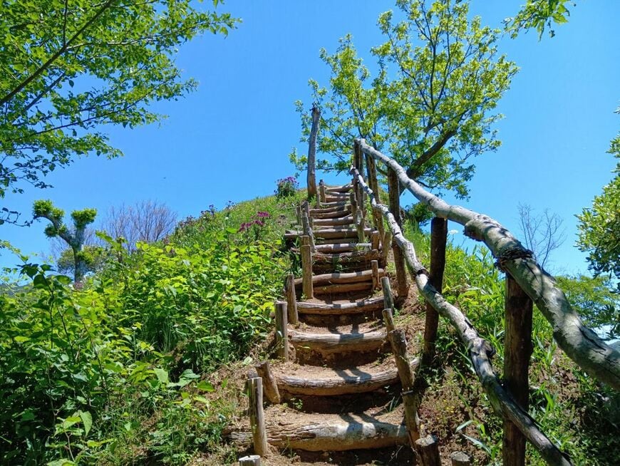 見晴しの丘。木製の階段は風情がある（写真：筆者撮影）