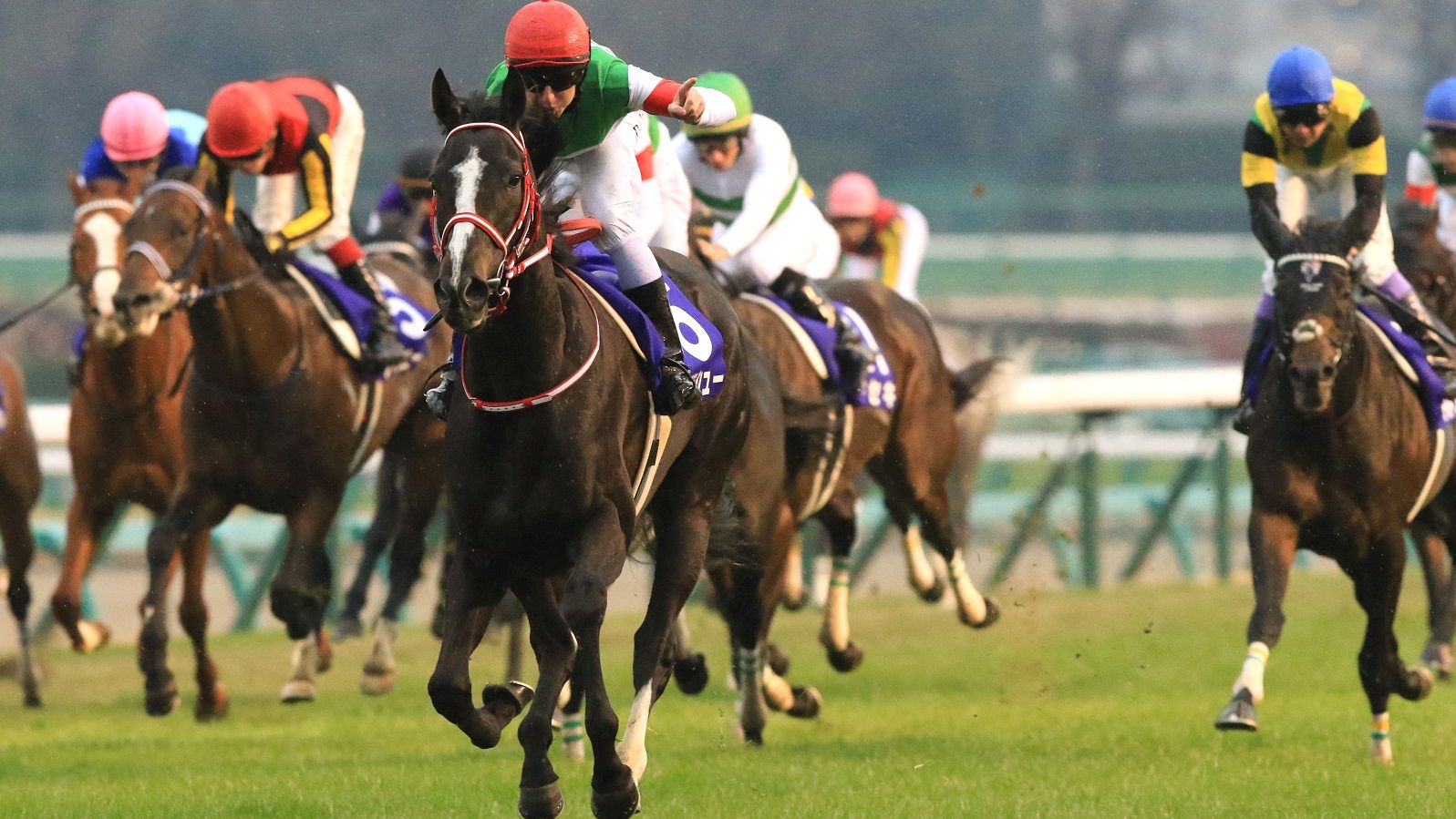 リスグラシュー年度代表馬に見るjra賞の裏側 今さら聞けない競馬のキホン 東洋経済オンライン 社会をよくする経済ニュース