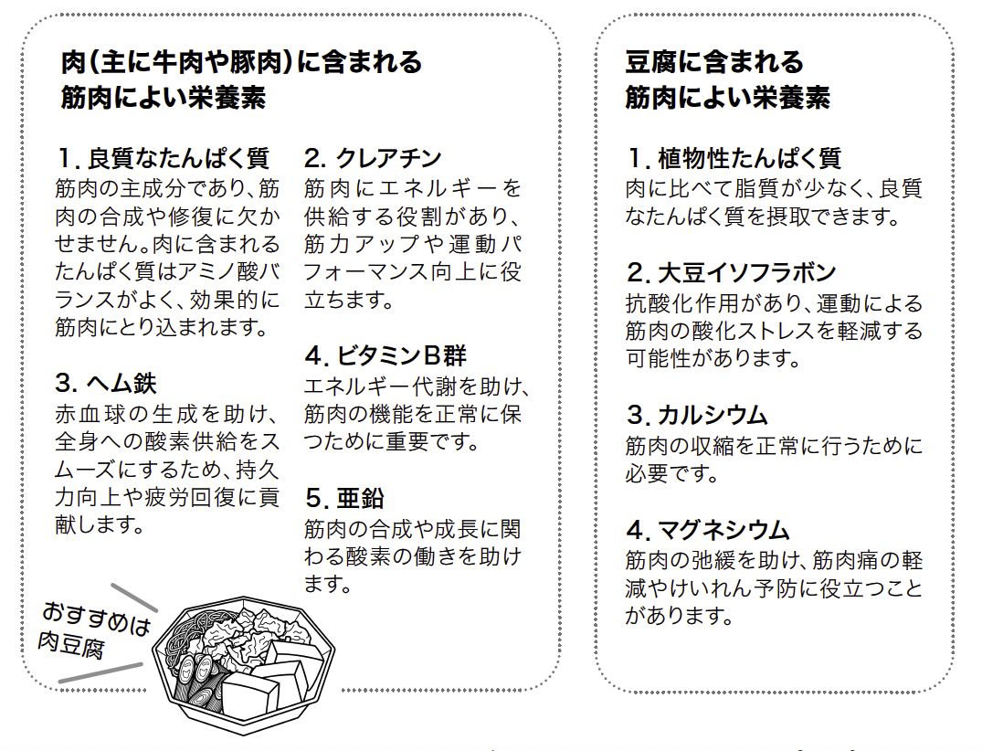 肉どうふに含まれる栄養素