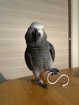 （写真提供：カマタさん）