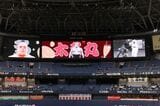 ©ORIX Buffaloes
