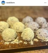 針江のんきぃふぁーむ