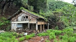 廃墟だらけの｢ラピュタの島｣はかつて年間10万人が訪れた《リゾート地》だった…なぜ衰退し､再び人気になったのか 