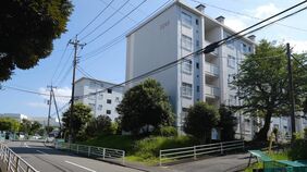 横浜の築55年｢巨大な人工池がある団地｣の中に"学生寮"をつくる→《高齢化社会を解決するヒント》がそこにはあった