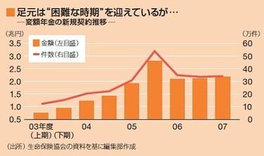 変額年金・個人年金　平成19年度版（大型本） ラップライフ 年金原資確定部分付変額個人年金保険（通貨指定型