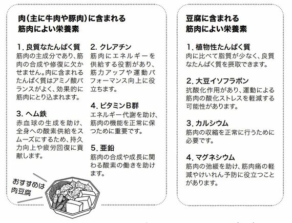 肉どうふに含まれる栄養素