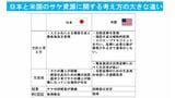 日本とアメリカのサケ資源に関する考え方の違い（画像：筆者作成）