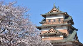 ｢サカナ優先で黒く塗る｣｢瓦を使わない天守｣…《見た目がへんな城》ができた"なんとも不思議なきっかけ"