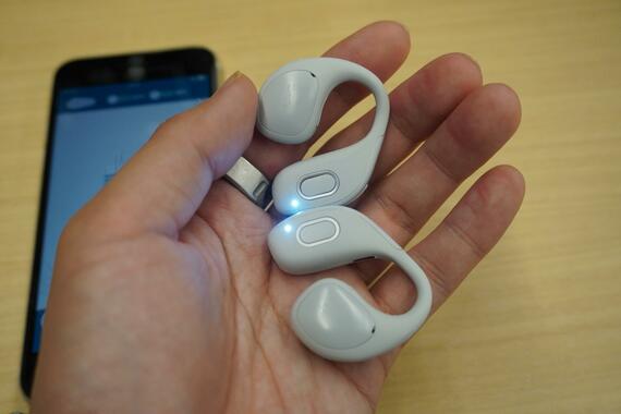 cocoe Earを手に取ったところ