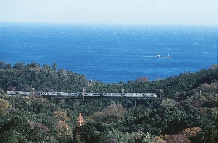 伊豆急線内を走る185系「踊り子」