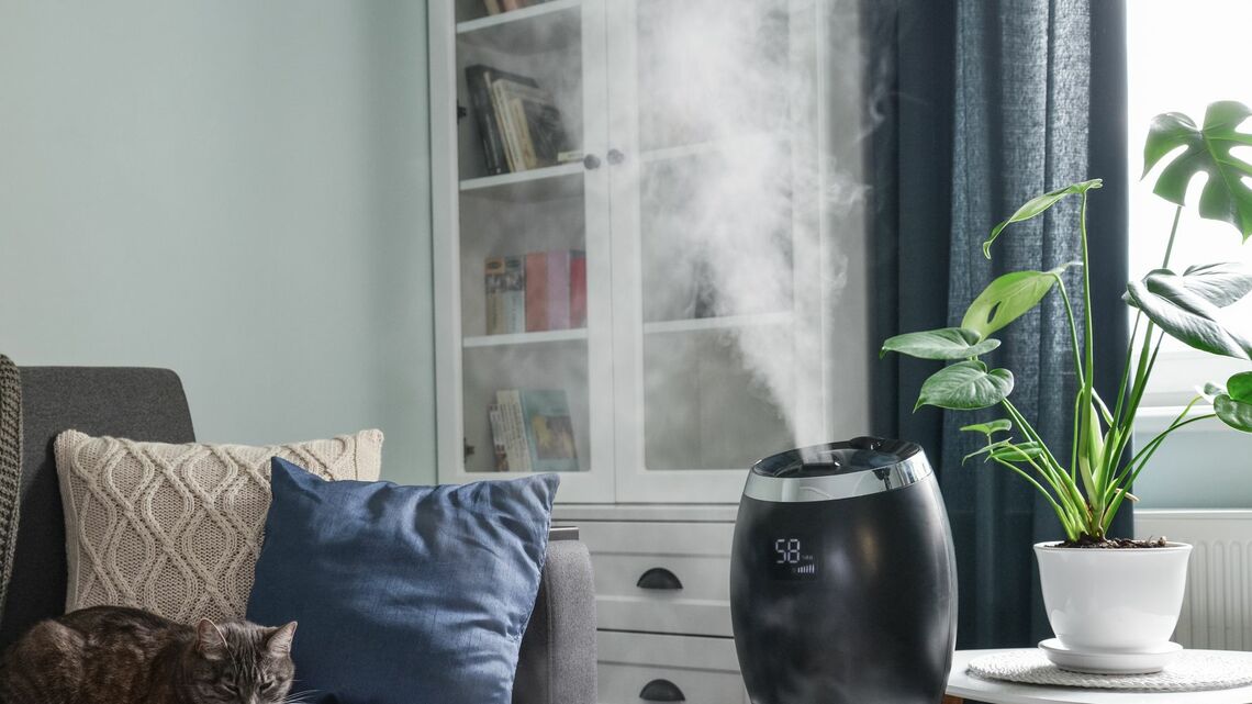 家電ライターが教える「加湿器の選び方」（写真：mama_mia／PIXTA）