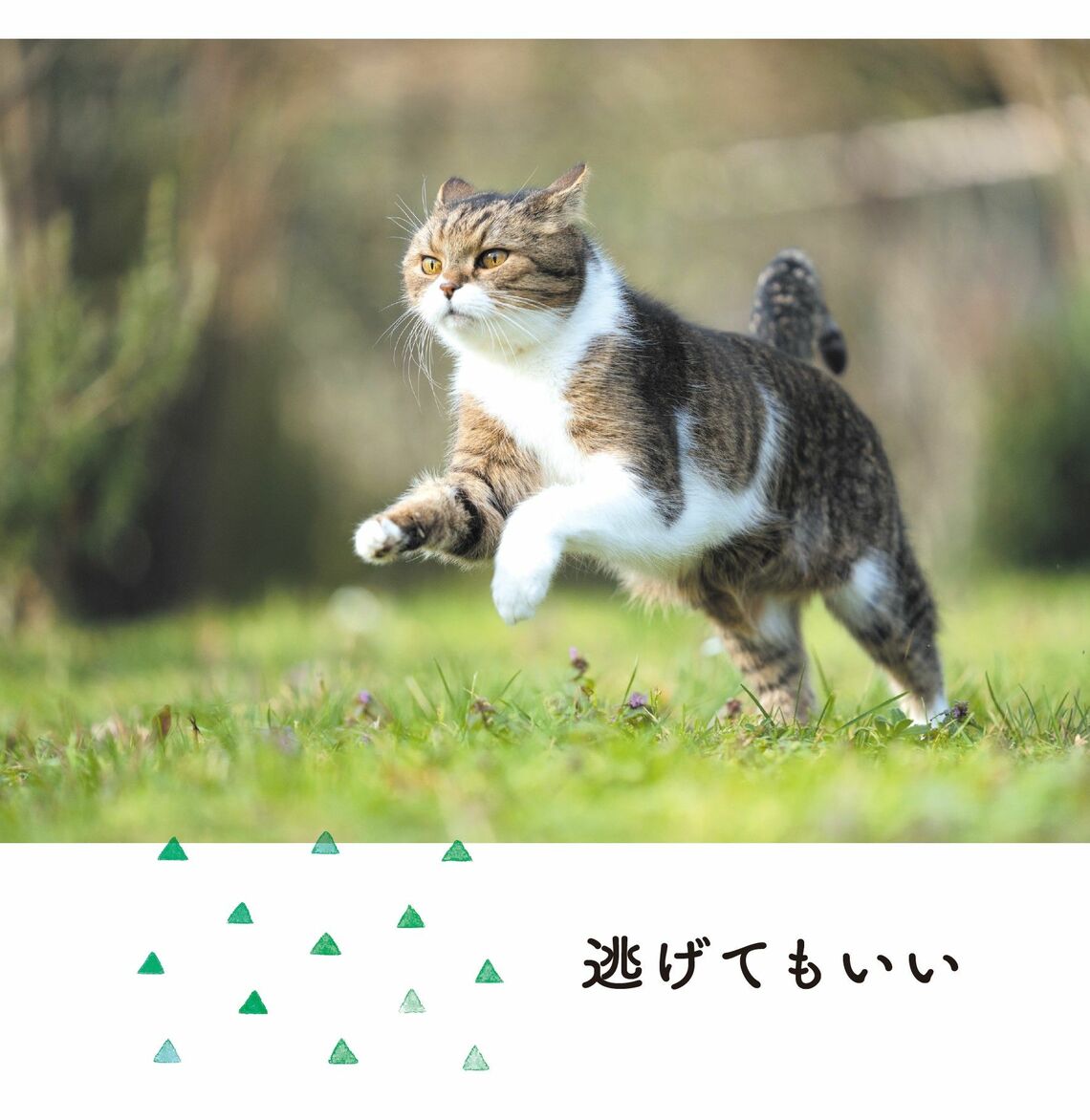（出所：『そんなに怒らニャくてもいいんだよ ネコと学ぶ心が軽くなる方法』より）