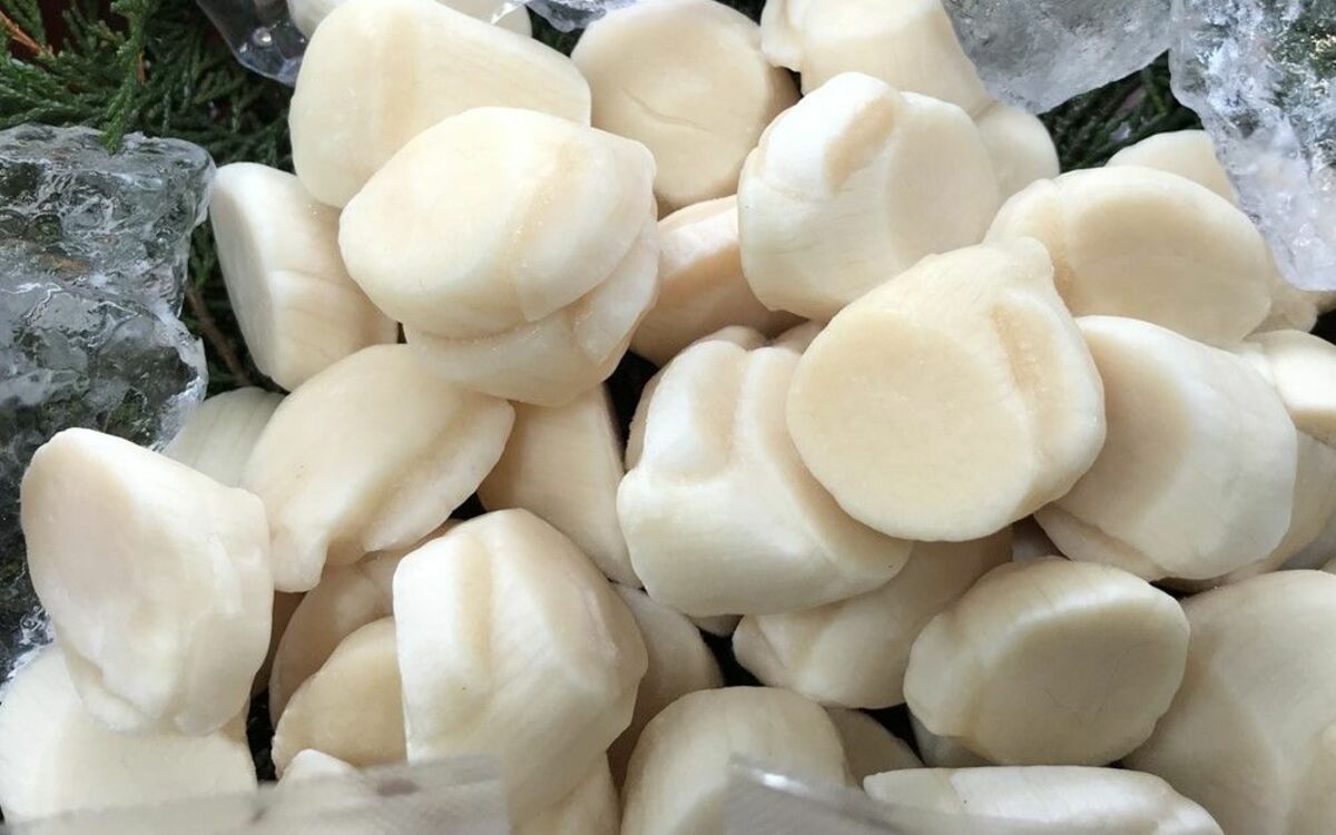 中国の水産物｢輸入停止｣よりもヤバい資源の実態 | 食品 | 東洋経済オンライン