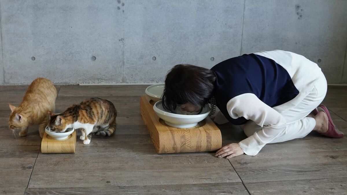 全自動トイレに介護用品・・・猫ファーストのケア製品の進化 ｢猫に 