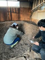 完熟堆肥の山。手を入れるとほかほか（撮影：保田さえ子氏）
