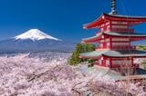 「新倉山浅間公園」は、春になれば満開の桜と五重塔越しに富士山を望むことができます（写真：まちゃー／PIXTA）