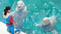 ラッコ･ペンギン､クラゲ…水族館｢驚きの繁殖術｣