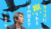 カラスに蹴られるその日まで
