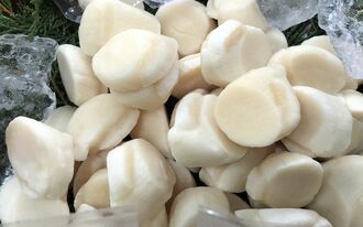 中国の水産物「輸入停止」よりもヤバい資源の実態