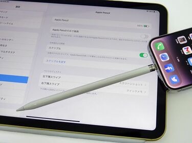 狭すぎる11インチiPad｣を設定で広く使う裏技 iPadOS 16.1で導入｢マルチ