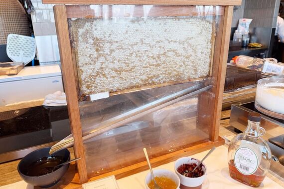 アカシアはちみつの巣みつ