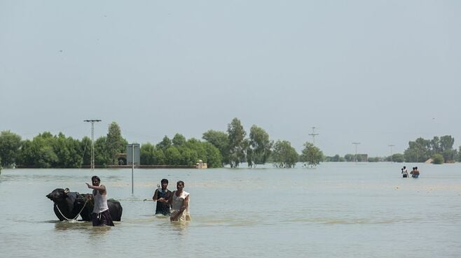 パキスタン大洪水の責任の半分は先進国にある