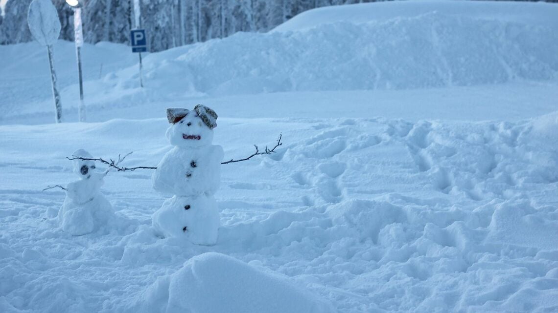 フィンランドの冬