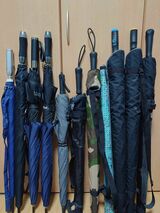 傘ソムリエ土屋博勇喜さんの傘コレクション