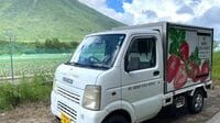 ｢真夏のいちご狩り｣に挑む29歳日光の農家の戦略 冬イチゴとは異なる｢夏秋イチゴ｣の可能性