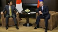 プーチン大統領が自ら指導する極東経済特区