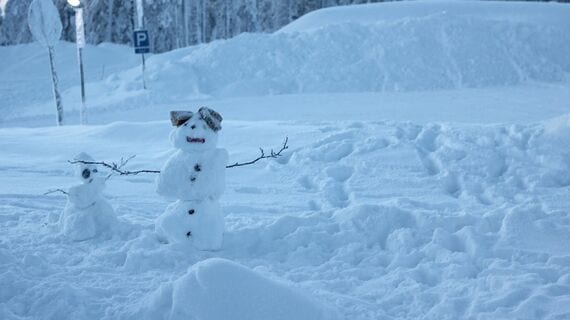 フィンランドの冬