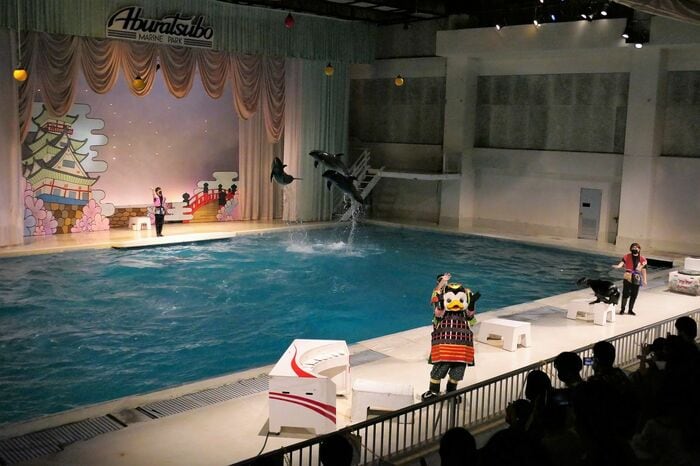 いるか・あしかパフォーマンス