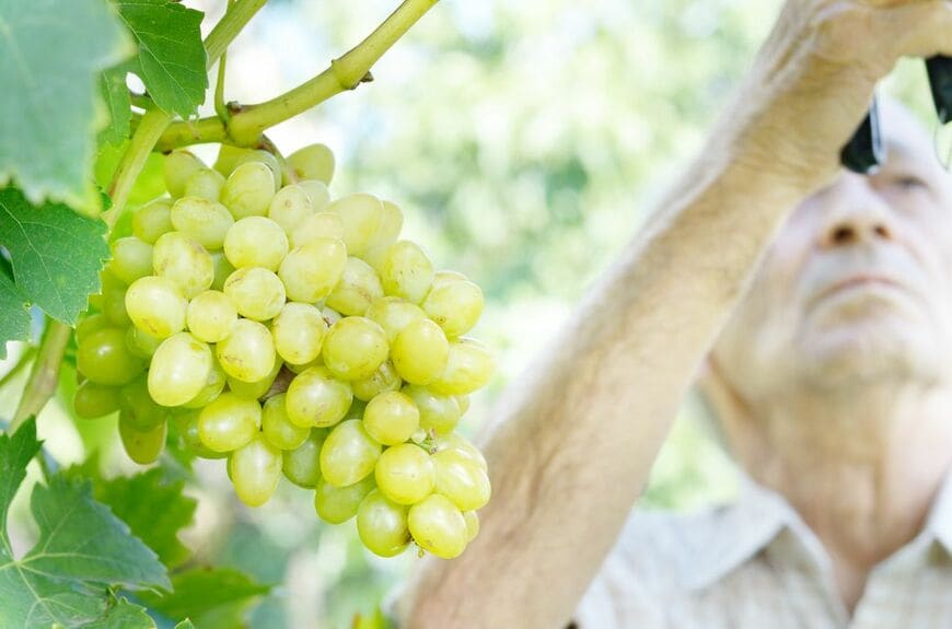 （写真：OlenaMykhaylova／PIXTA）