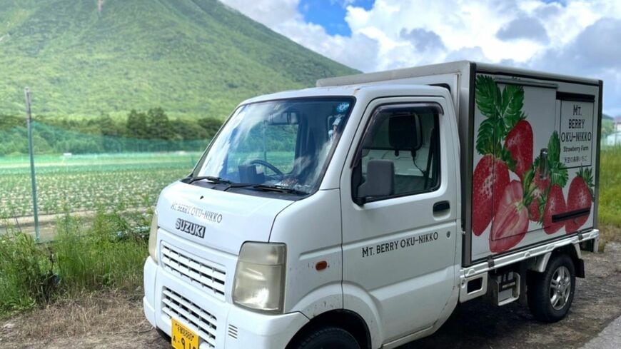 「夏イチゴ」に挑戦する日光、戦場ヶ原の岡崎ファームの狙いとは？（写真：岡崎さん提供）