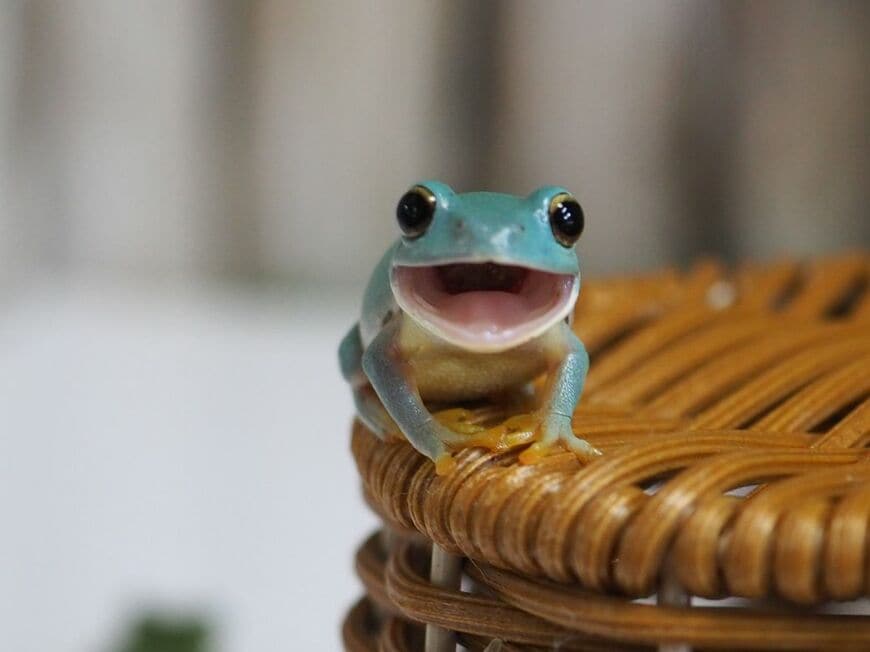 （写真提供：ぴよさん）