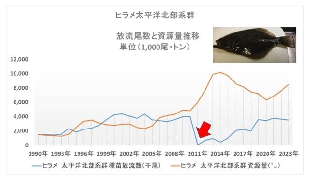 （出所）ヒラメ放流尾数と資源量推移。水産研究教育機構の資料より筆者作成