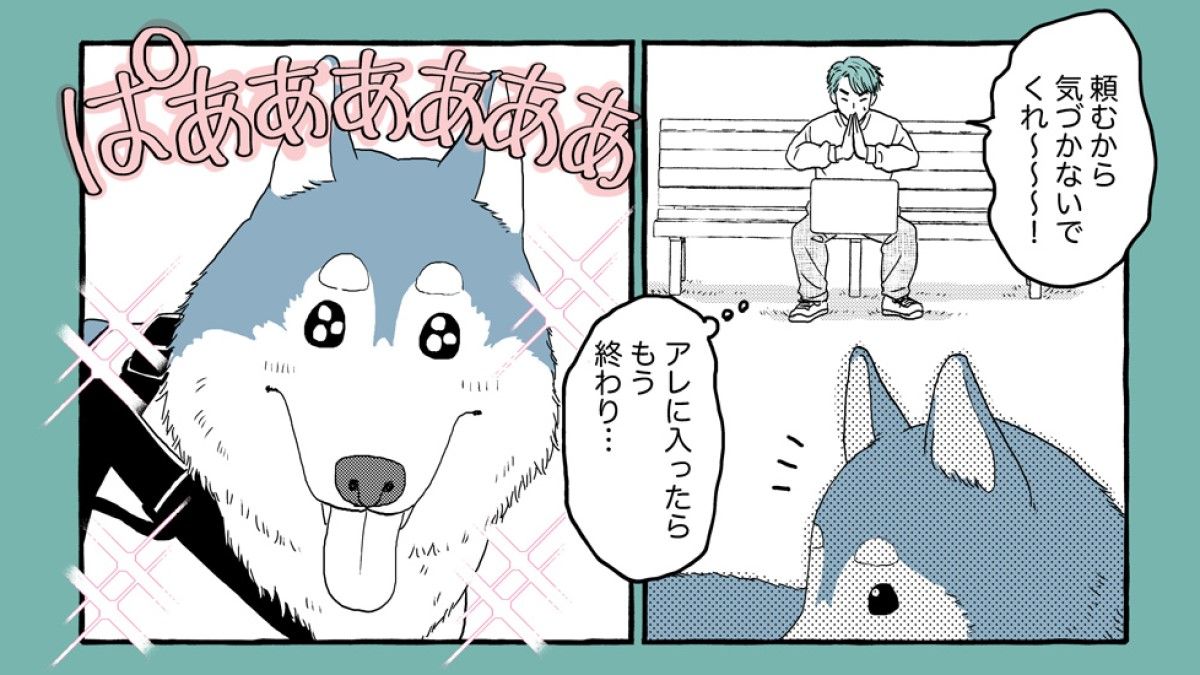 愛犬が歓喜｢ドッグラン｣で飼い主が内心願うこと 漫画｢2人（匹）くらし。｣（第7話） | 2人（匹）くらし。 | 東洋経済オンライン