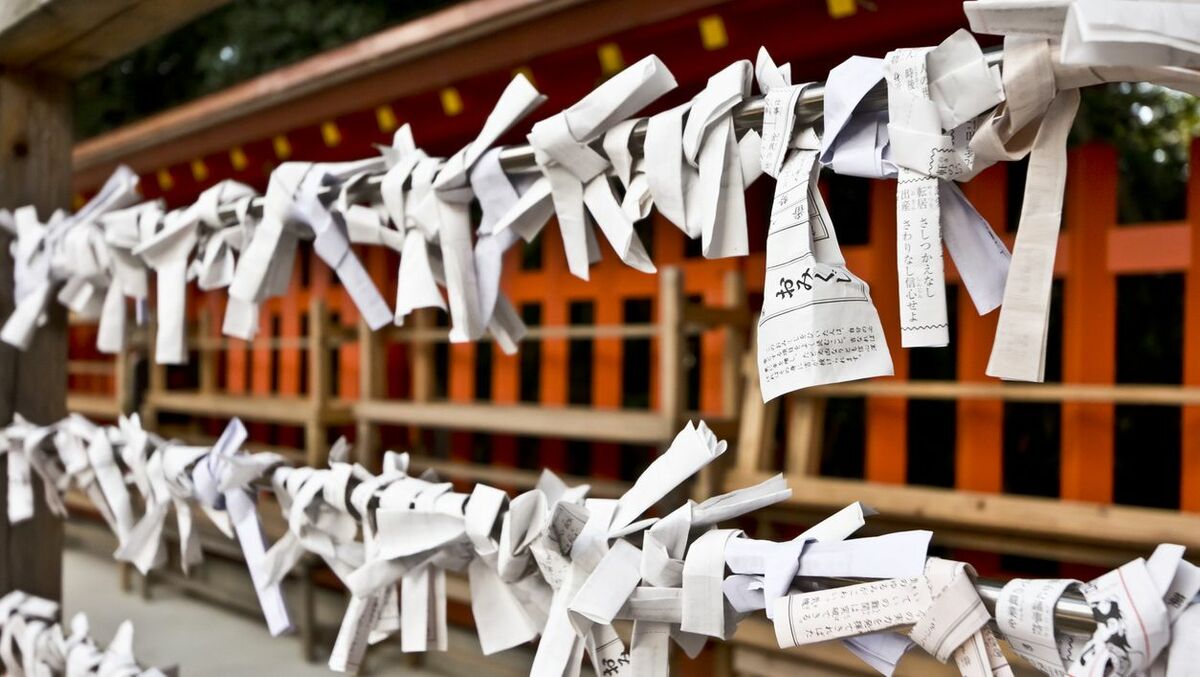 img_6d54c723336e27cfe6e8ad0507
