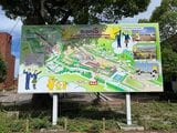 西武学園文理