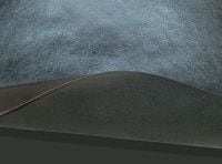 再出発する製紙業界中位、特種東海が命運託す「カーボンナノペーパー」