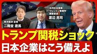 【トランプ2.0の注目点】通商・外交政策の行方／日本を頼る必要がなくなったトランプ／2国間交渉を重視／共和党も一枚岩ではない／大統領権限の限界を試行／DOGEによる改革がすでに開始【ニュース解説】